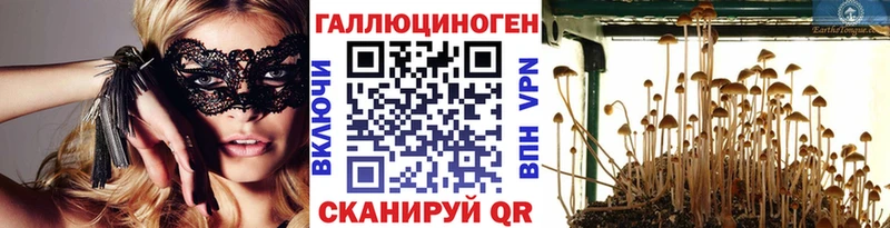 OMG ONION Калачинск Галлюциногенные грибы ЛСД